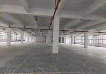 （热门）厦门10图后溪制造组团国企厂房出租26000平可分租厦门集美孙坂路厂房仓库土地独门独院单层