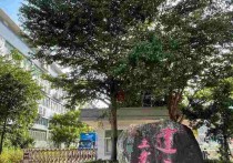 拥抱绿色产业新机遇。，（热门）入驻珠海斗门专注长三角产业园建泰环保制造园，诚邀入驻-珠海井岸厂房出租