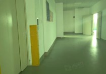 （热门）一房东直租12.8元！塘厦林村楼上整层1500平方豪厂房出租多层 - 园区产业招商网