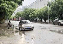 滴水10米单层出行便利 - 园区产业招商网，（热门）13元虎门镇原房东独门独院厂房出租2800平