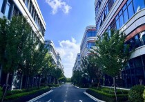 上海松江华滨联东U谷厂房出租 104地块可环评 汽车零部件医疗器械 首层7.2米(9)