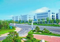 青島開發區王台片區新建改造道路總裡程突破40公裡