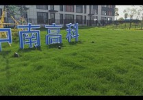 襄阳襄州东津新区现代大道与会展北路交叉口钢构框架特价2000/平起独栋多层全新厂房出售｜新区，优质产